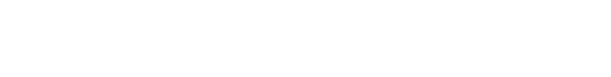 EXPLORER TOURS
