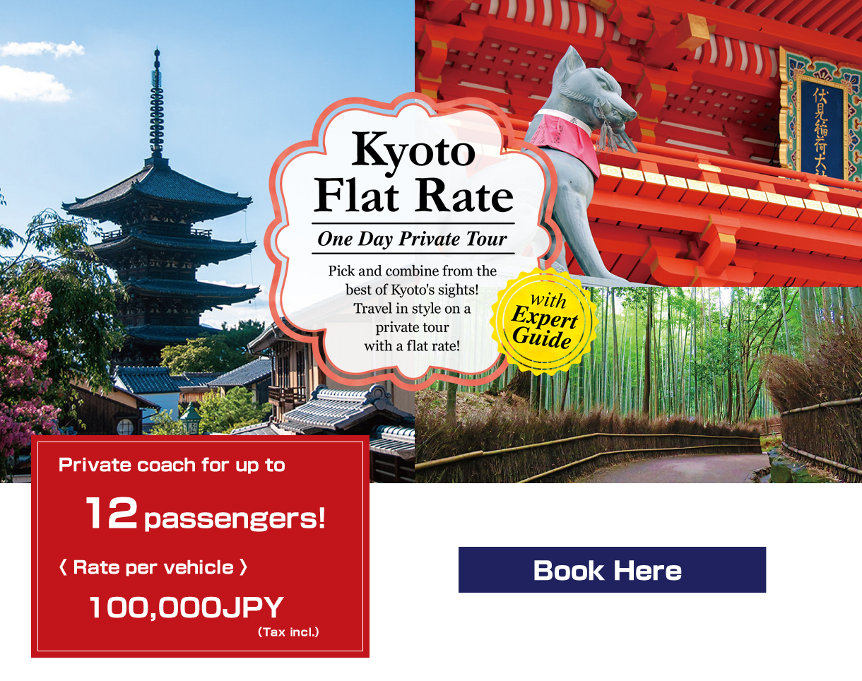 Kyoto Flat Rate One Day Private Tour with Expert Guide